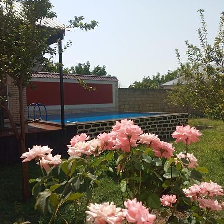 Villa Vilish Gabala Εξωτερικό φωτογραφία