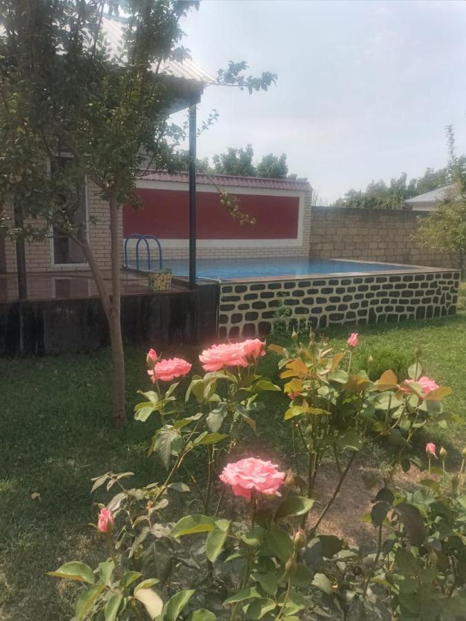 Villa Vilish Gabala Εξωτερικό φωτογραφία