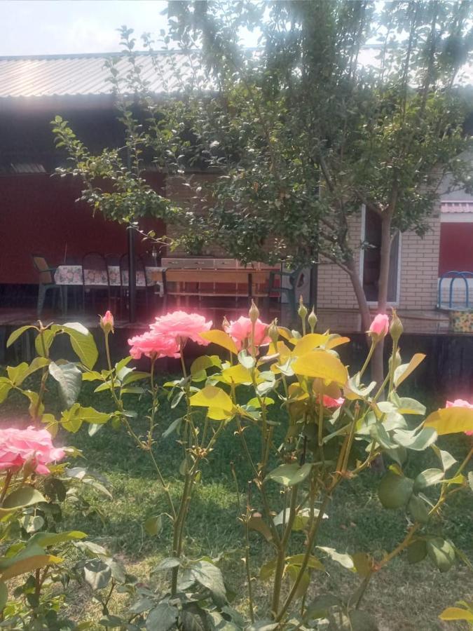 Villa Vilish Gabala Εξωτερικό φωτογραφία