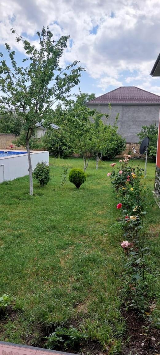 Villa Vilish Gabala Εξωτερικό φωτογραφία