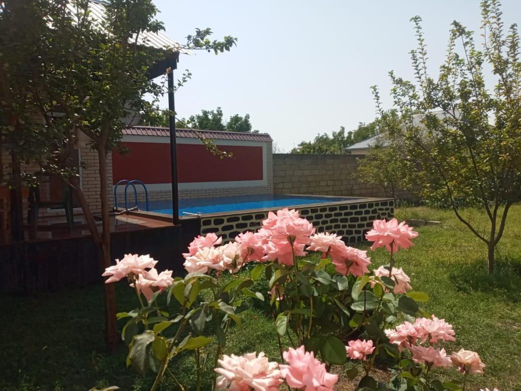 Villa Vilish Gabala Εξωτερικό φωτογραφία